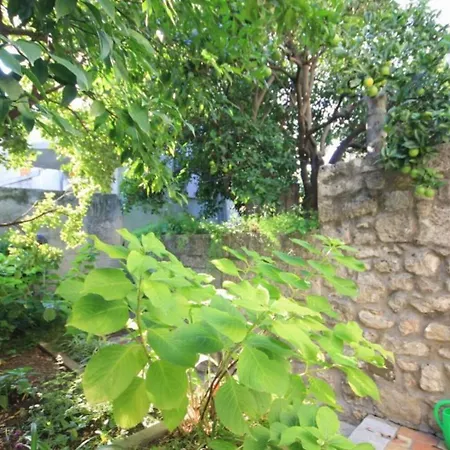 بيت للعطل House Korta *