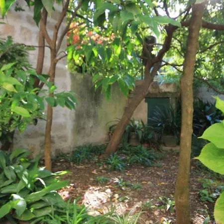 House Korta * Cavtat